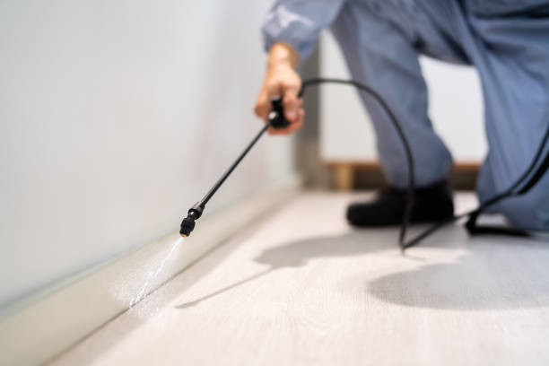 Rodent Entry Point Assessment in West Melbourne