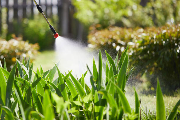 Tamper-Resistant Bait Stations for Rodents in West Melbourne
