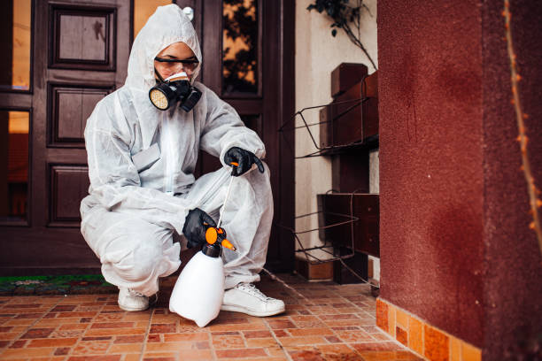 Attic and Crawl Space Rodent Treatment in West Melbourne